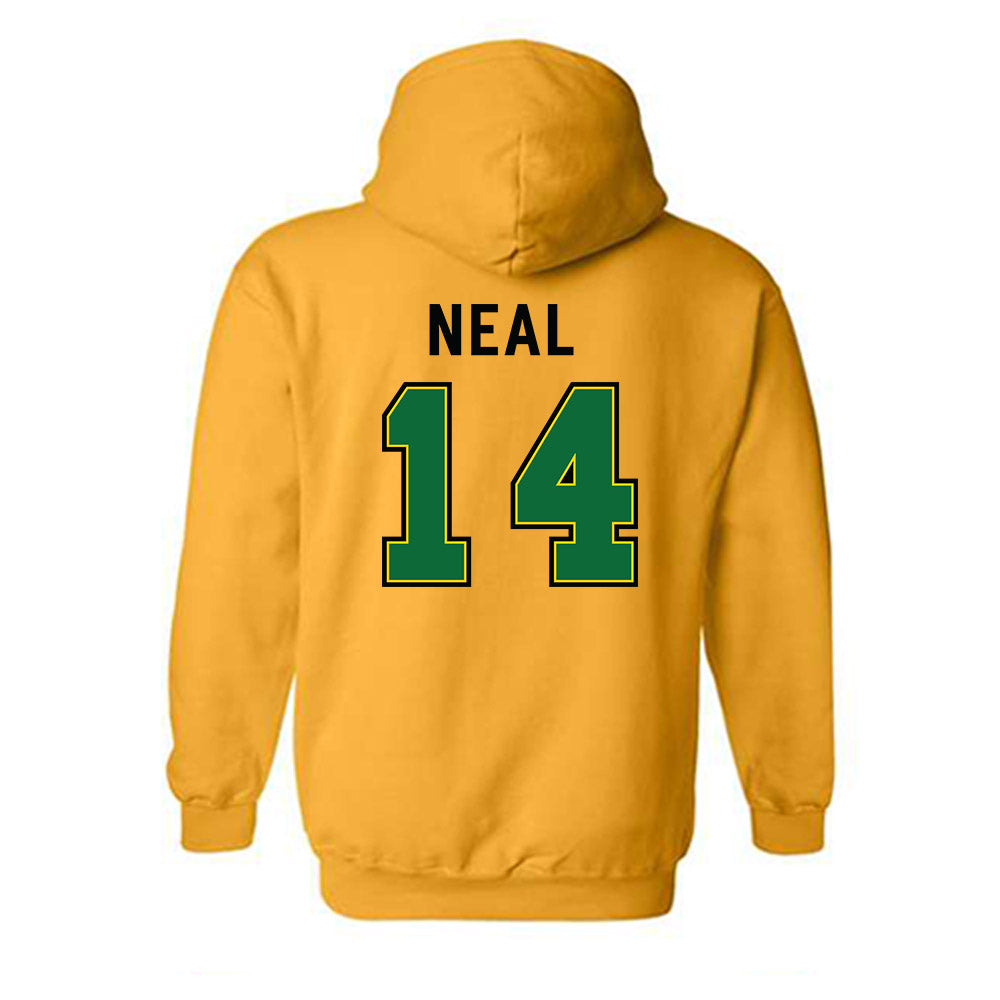 - NCAA Women's Volleyball : Randi Neal - Classic Shersey Hooded Sweatshirt-1