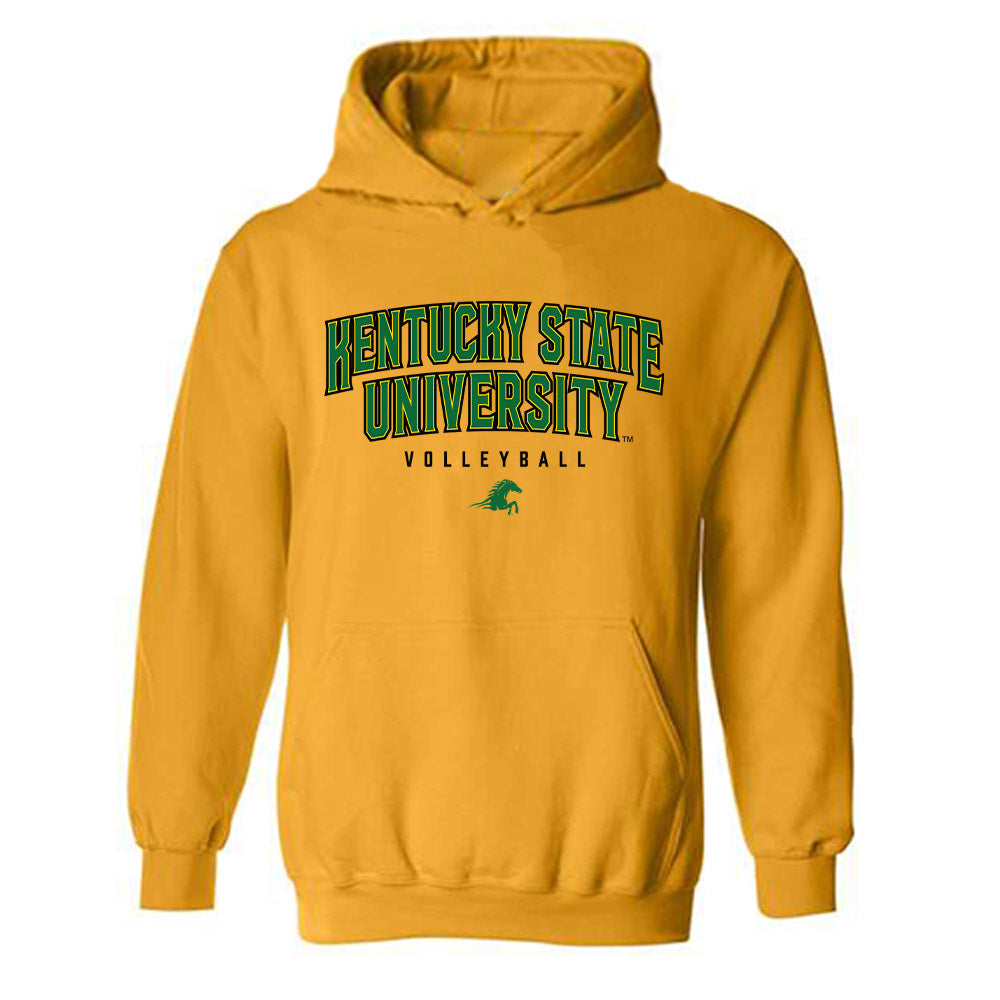  - NCAA Men's Volleyball : D'Angelo Coleman - Classic Shersey Hooded Sweatshirt-0