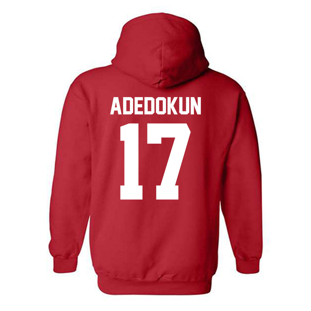 Ohio State - NCAA Men's Soccer : Michael Adedokun - Classic Shersey Hooded Sweatshirt