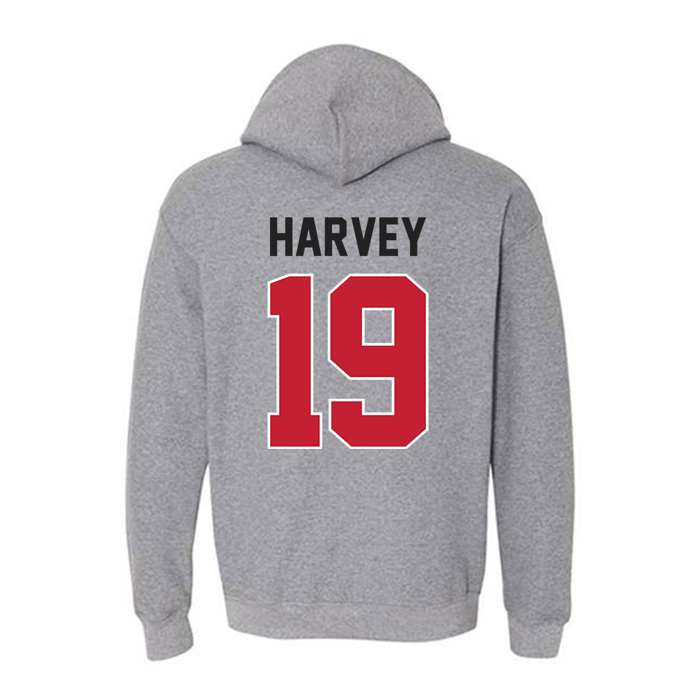Ohio State - NCAA Baseball : Dane Harvey - Classic Shersey Hooded Sweatshirt-1