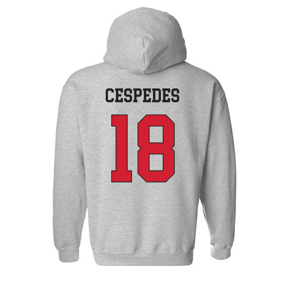 Maryland - NCAA Baseball : Cristofer Cespedes - Classic Shersey Hooded Sweatshirt-1