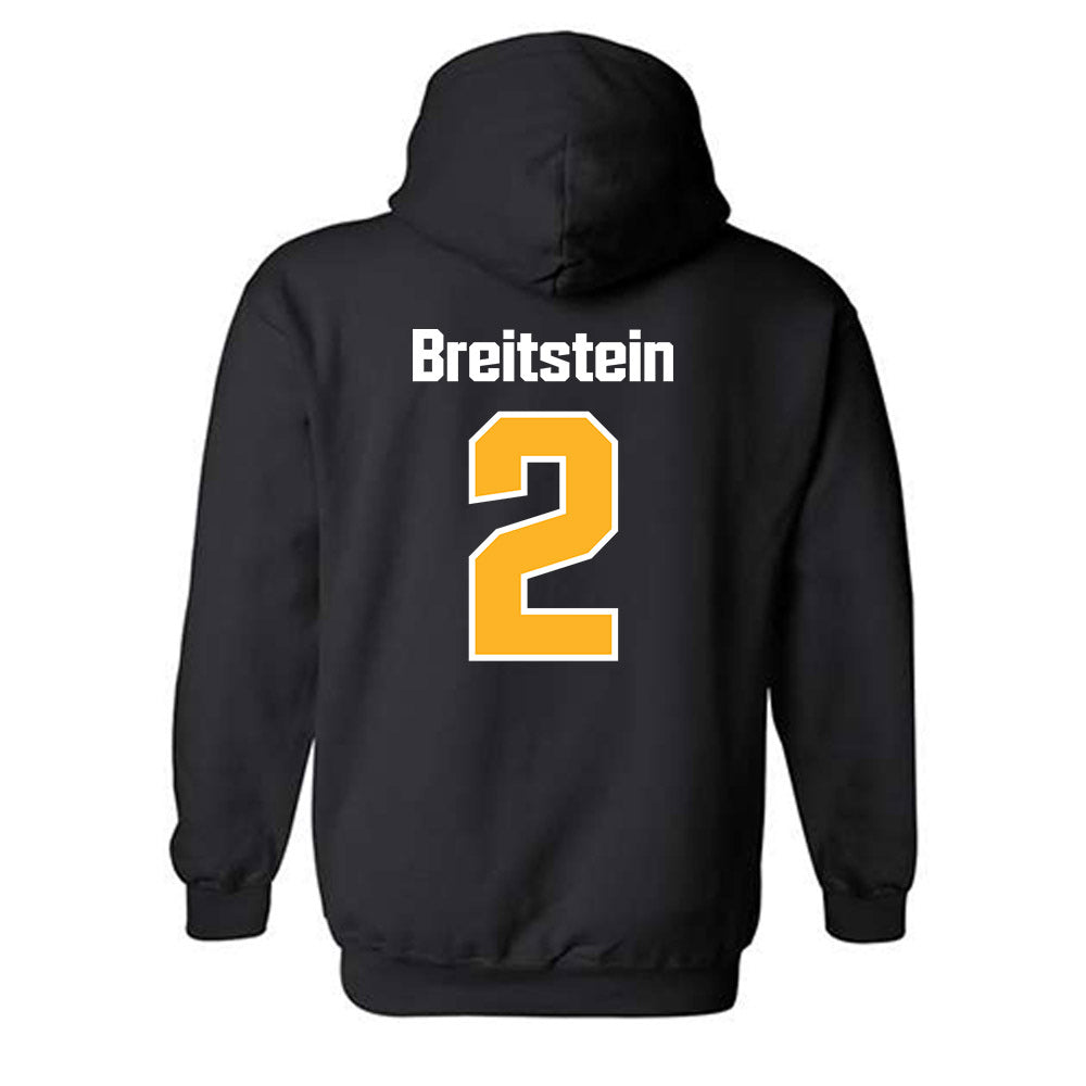 SJSU - NCAA Softball : Paige Breitstein - Classic Shersey Hooded Sweatshirt-1