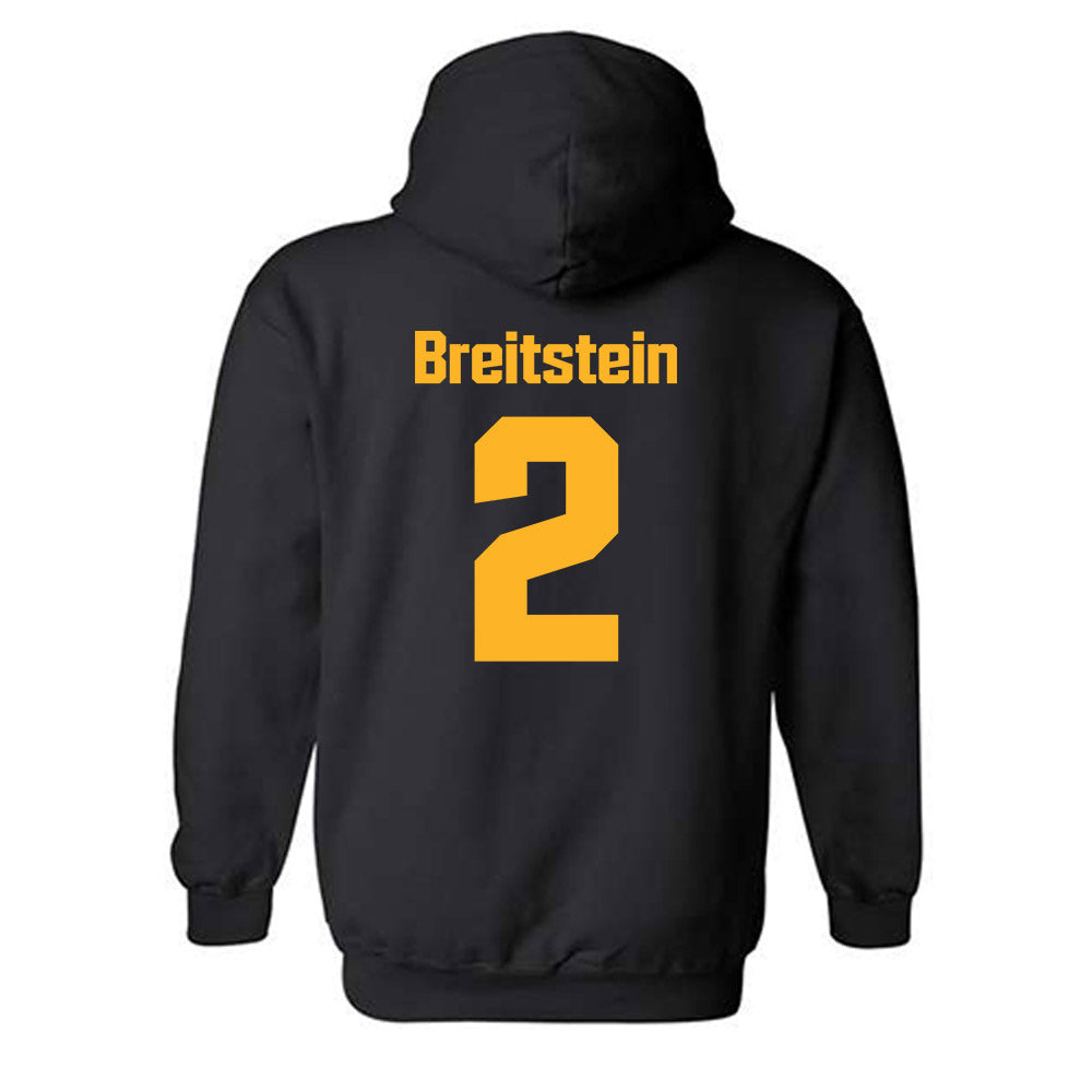 SJSU - NCAA Softball : Paige Breitstein - Classic Shersey Hooded Sweatshirt-1