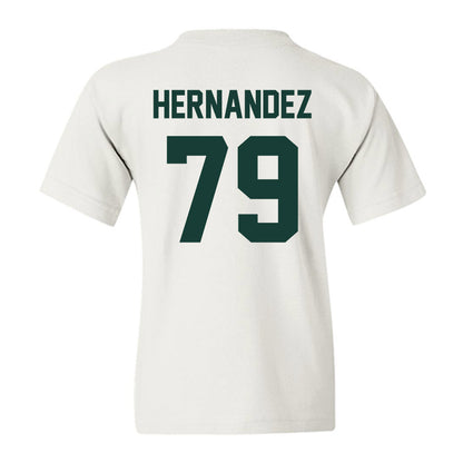 Lake Erie College - NCAA Men's Soccer : Fernando Hernandez - Classic Shersey Youth T-Shirt-1