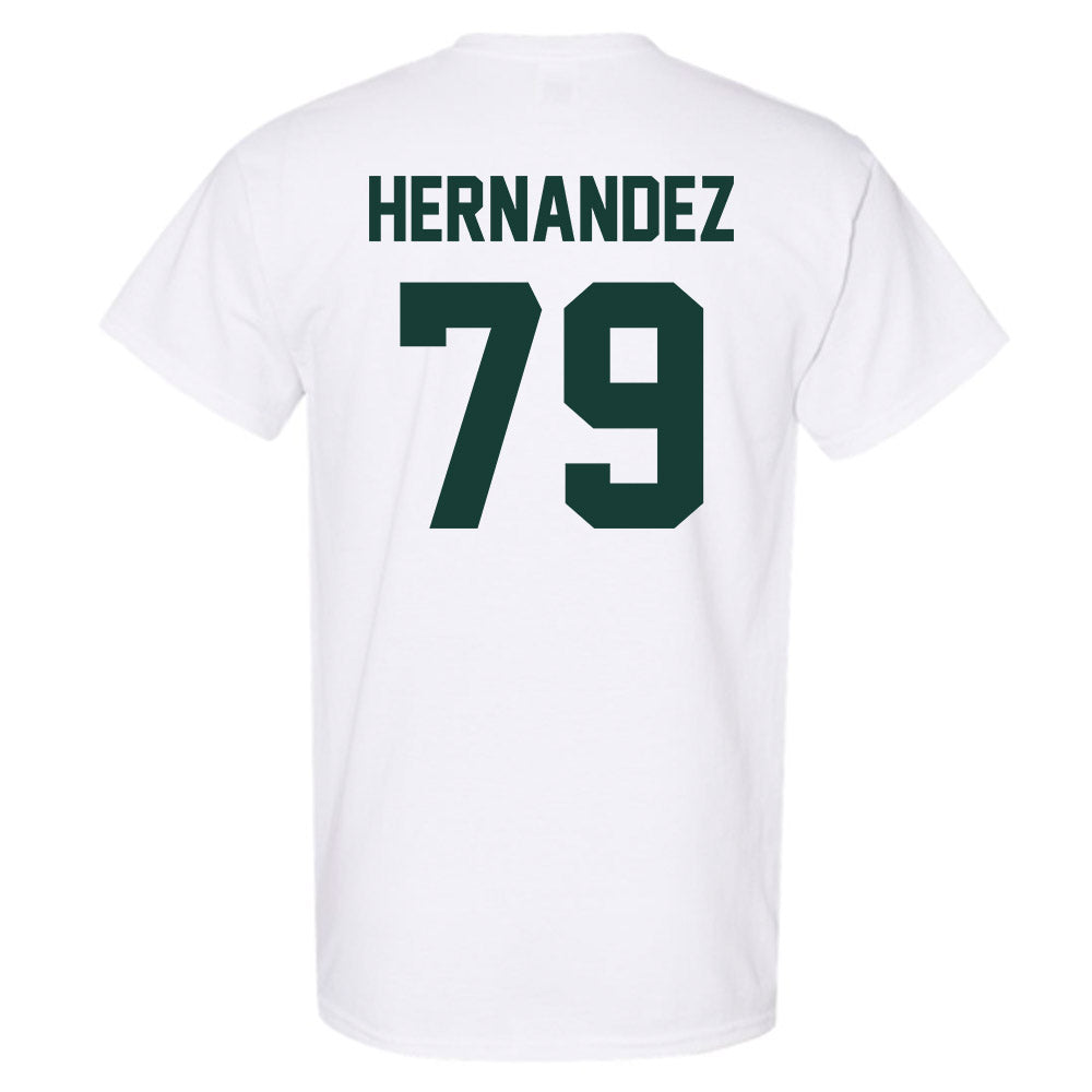 Lake Erie College - NCAA Men's Soccer : Fernando Hernandez - Classic Shersey T-Shirt-1