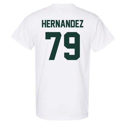 Lake Erie College - NCAA Men's Soccer : Fernando Hernandez - Classic Shersey T-Shirt-1
