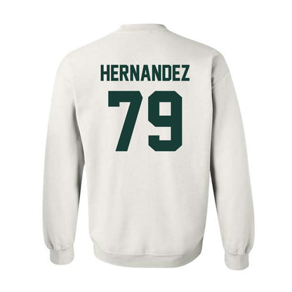 Lake Erie College - NCAA Men's Soccer : Fernando Hernandez - Classic Shersey Crewneck Sweatshirt-1