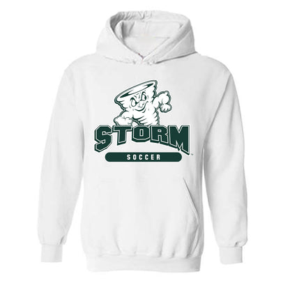 Lake Erie College - NCAA Men's Soccer : Fernando Hernandez - Classic Shersey Hooded Sweatshirt-0