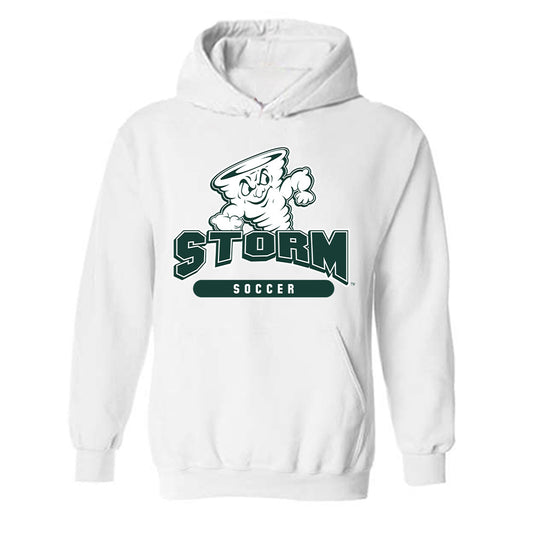 Lake Erie College - NCAA Men's Soccer : Sameed Ansari - Classic Shersey Hooded Sweatshirt-0