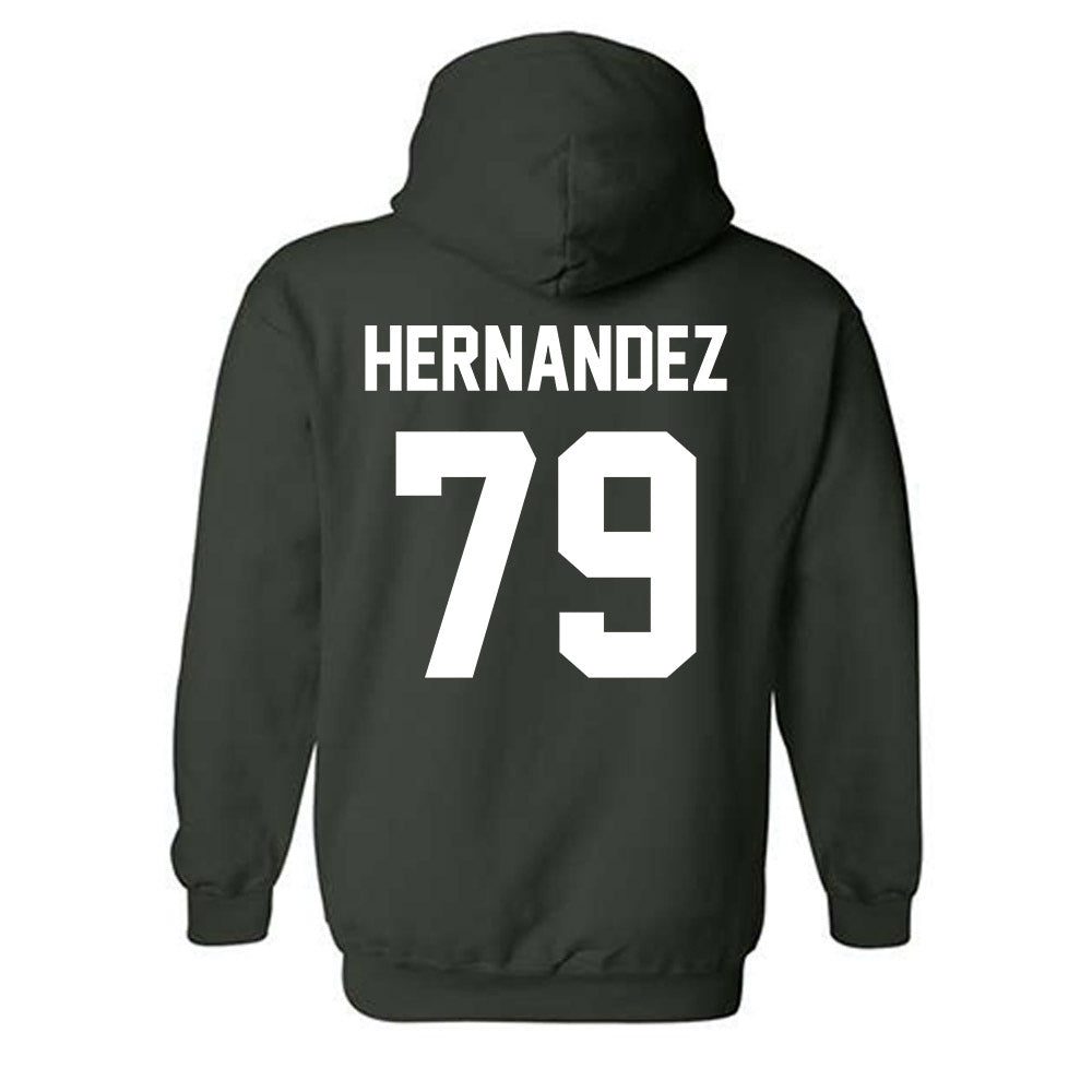 Lake Erie College - NCAA Men's Soccer : Fernando Hernandez - Hooded Sweatshirt-1