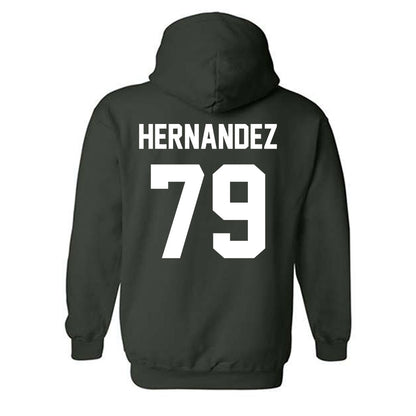 Lake Erie College - NCAA Men's Soccer : Fernando Hernandez - Hooded Sweatshirt-1