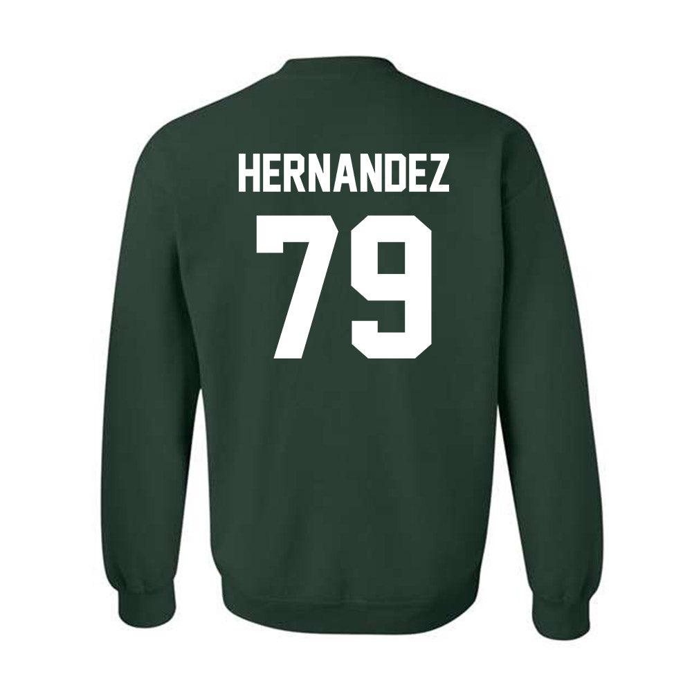 Lake Erie College - NCAA Men's Soccer : Fernando Hernandez - Crewneck Sweatshirt-1