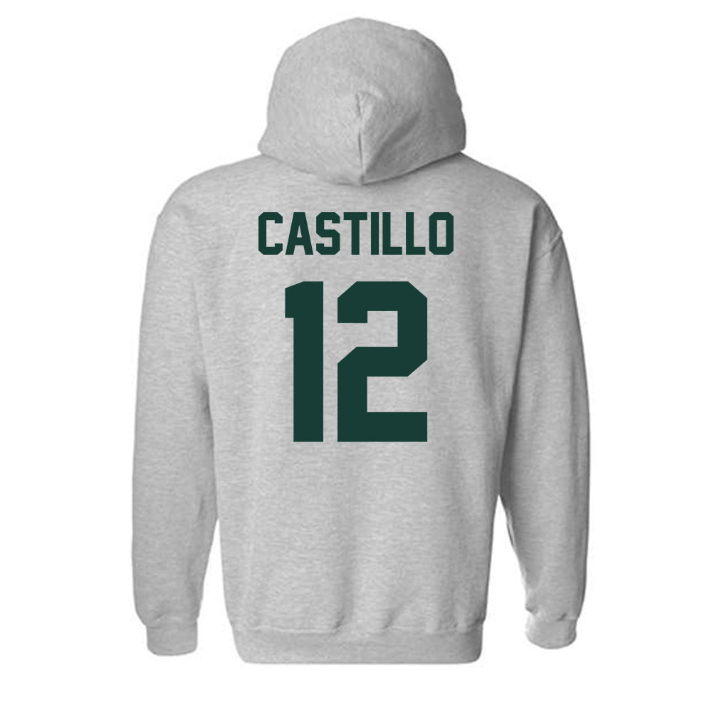 Lake Erie College - NCAA Men's Basketball : Alanas Castillo - Hooded Sweatshirt-1