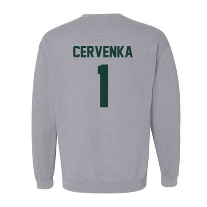 Lake Erie College - NCAA Men's Basketball : Riley Cervenka - Crewneck Sweatshirt-1