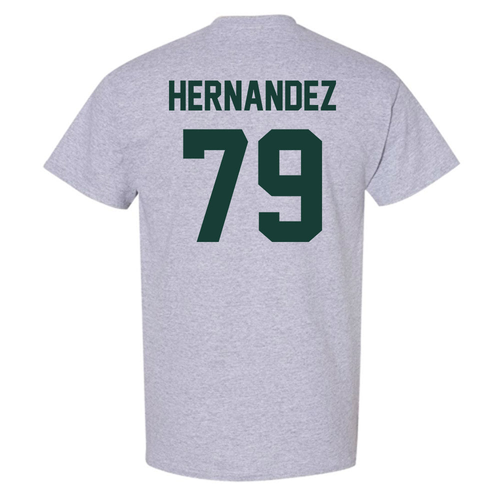 Lake Erie College - NCAA Men's Soccer : Fernando Hernandez - T-Shirt-1