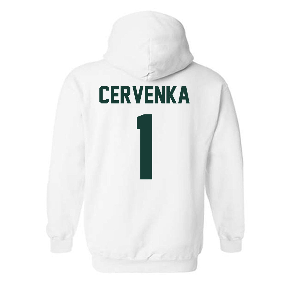 Lake Erie College - NCAA Men's Basketball : Riley Cervenka - Hooded Sweatshirt-1