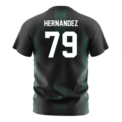 Lake Erie College - NCAA Men's Soccer : Fernando Hernandez - Soccer Jersey-1