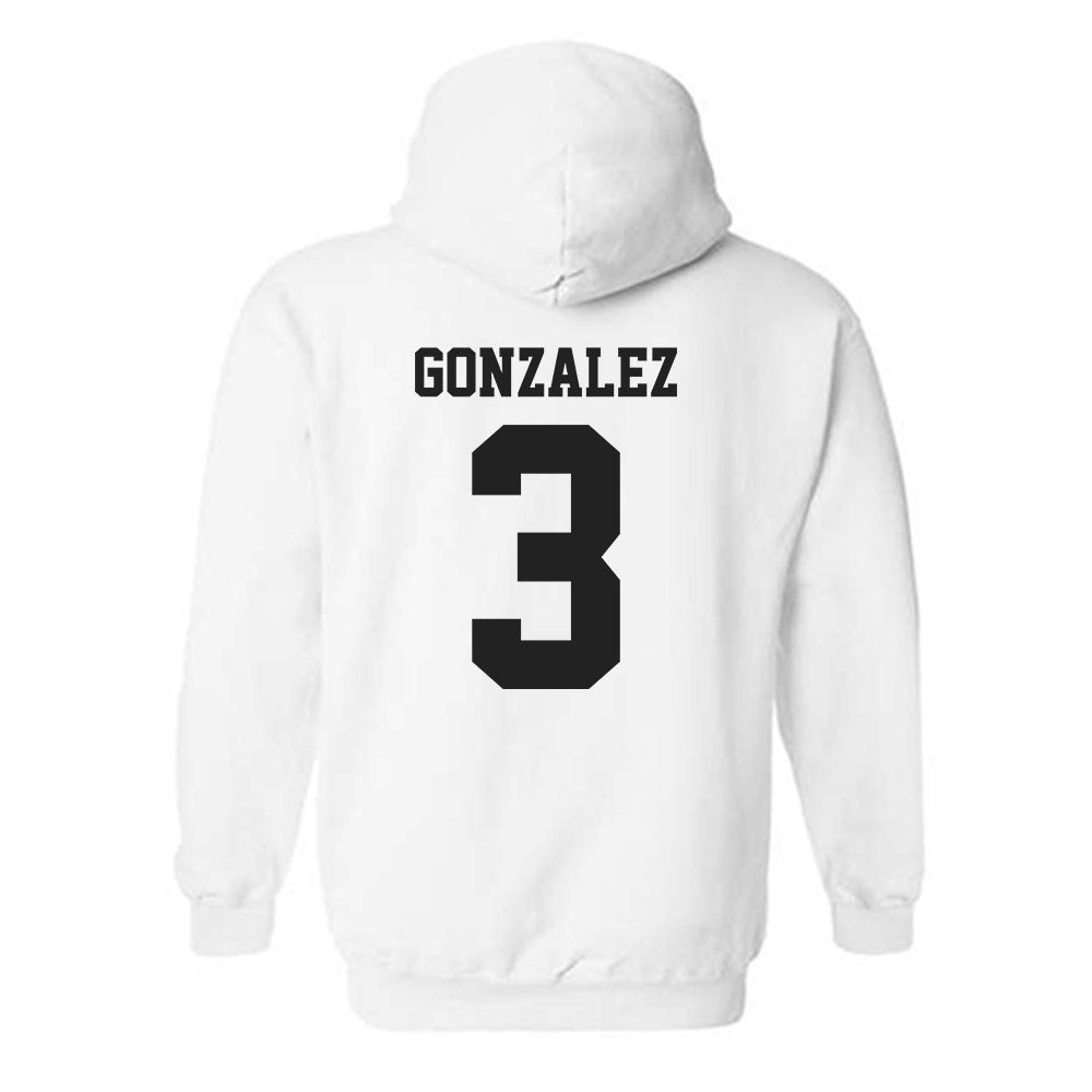 CSUN - NCAA Softball : Sheridan Gonzalez - Classic Shersey Hooded Sweatshirt-1