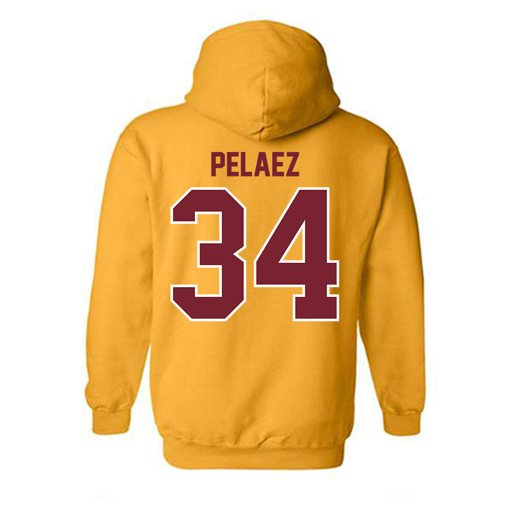 Winthrop - NCAA Women's Basketball : Martina Pelaez - Classic Shersey Hooded Sweatshirt-1