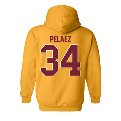 Winthrop - NCAA Women's Basketball : Martina Pelaez - Classic Shersey Hooded Sweatshirt-1