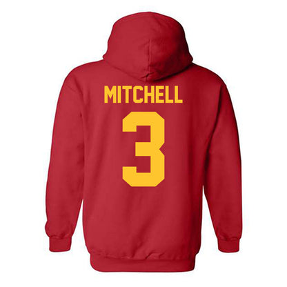 Ferris State - NCAA Women's Basketball : Mara Mitchell - Classic Shersey Hooded Sweatshirt-1