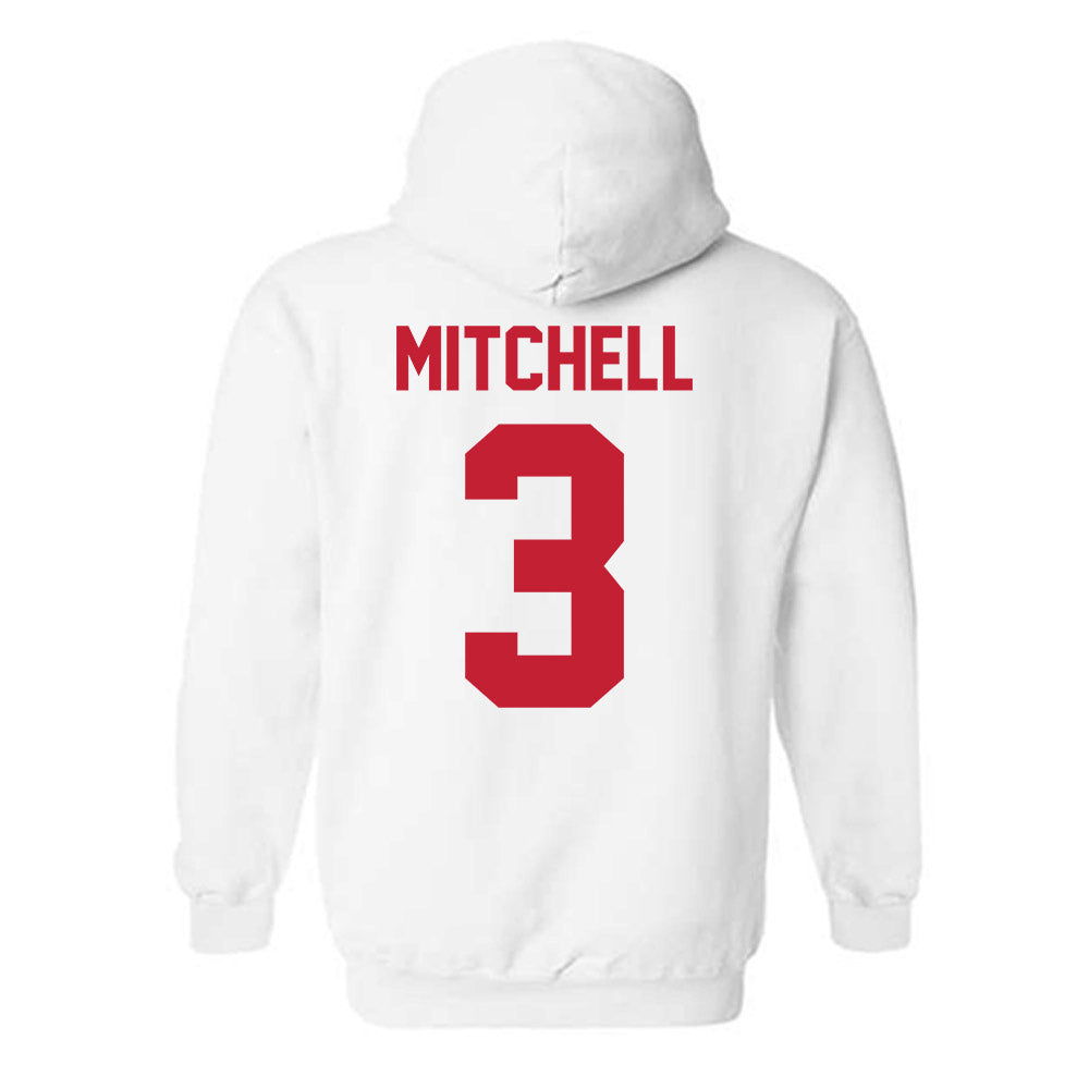 Ferris State - NCAA Women's Basketball : Mara Mitchell - Classic Shersey Hooded Sweatshirt-1