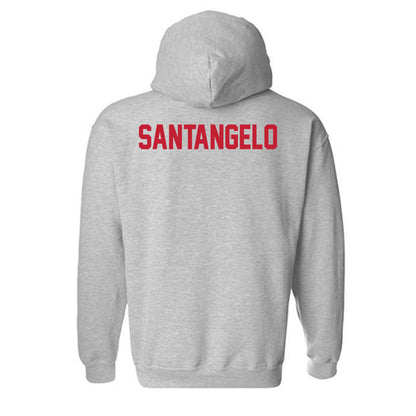 Ferris State - NCAA Men's Tennis : Alessandro santangelo - Classic Shersey Hooded Sweatshirt-1
