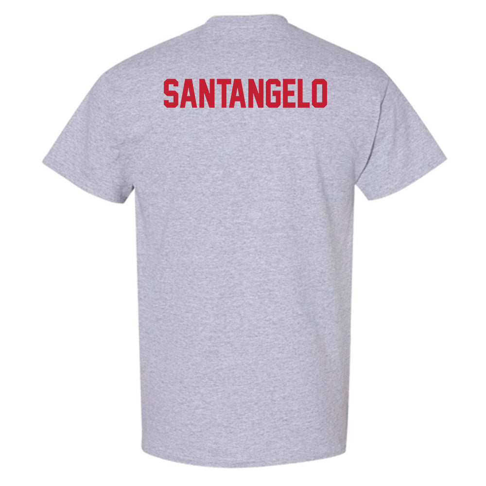 Ferris State - NCAA Men's Tennis : Alessandro santangelo - Classic Shersey T-Shirt-1