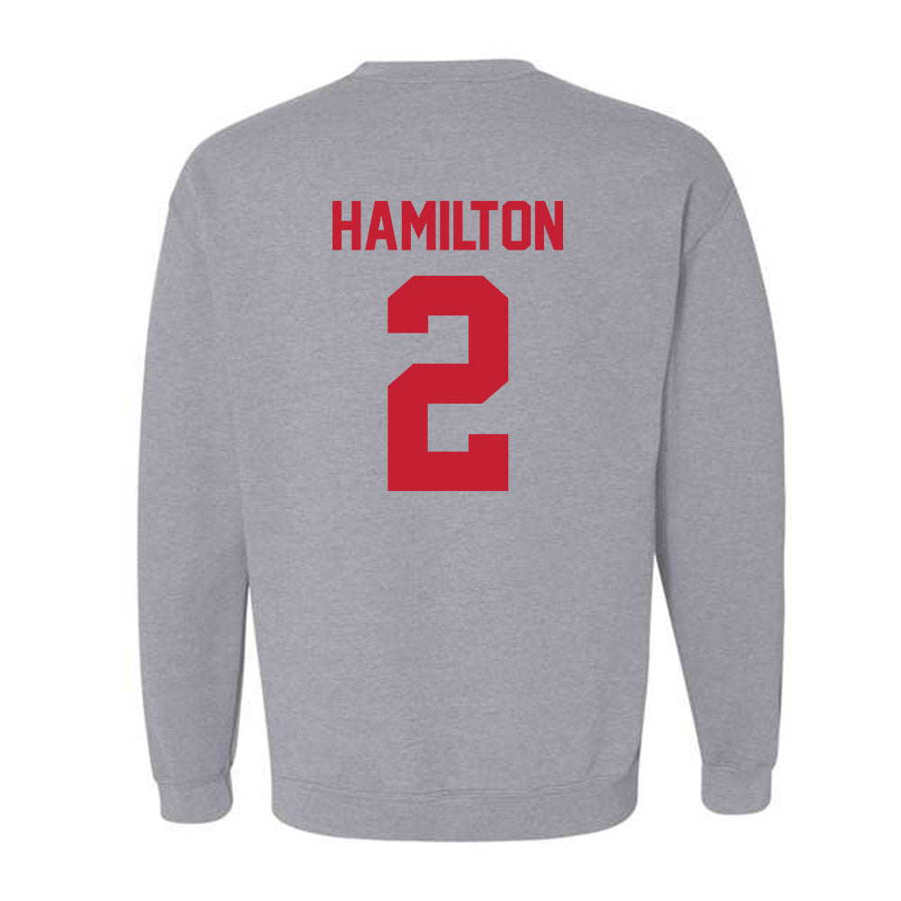 Ferris State - NCAA Men's Basketball : Tyler Hamilton - Classic Shersey Crewneck Sweatshirt-1