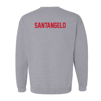 Ferris State - NCAA Men's Tennis : Alessandro santangelo - Classic Shersey Crewneck Sweatshirt-1
