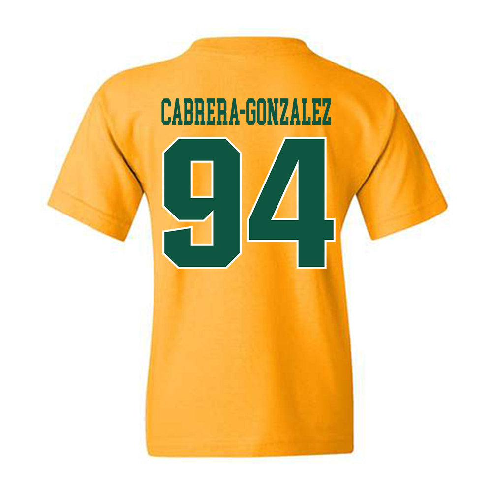 Fitchburg State - NCAA Football : Juelz Cabrera-Gonzalez - Classic Shersey Youth T-Shirt-1