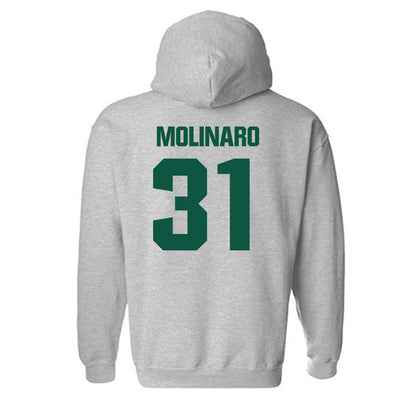 Northern Michigan - NCAA Men's Ice Hockey : Julian Molinaro - Classic Shersey Hooded Sweatshirt