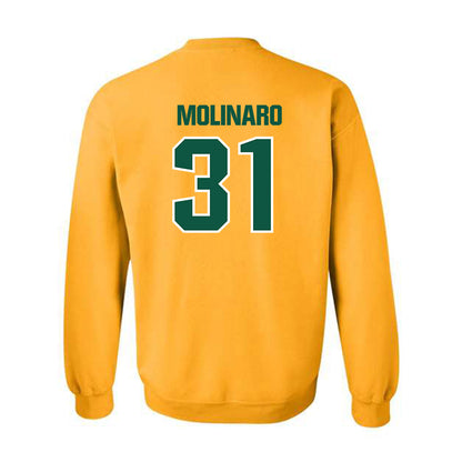 Northern Michigan - NCAA Men's Ice Hockey : Julian Molinaro - Classic Shersey Crewneck Sweatshirt