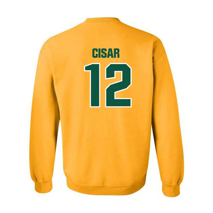 Northern Michigan - NCAA Men's Ice Hockey : Peter Cisar - Classic Shersey Crewneck Sweatshirt-1