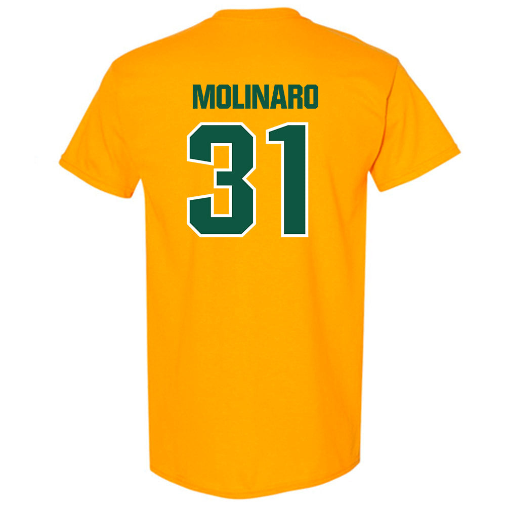 Northern Michigan - NCAA Men's Ice Hockey : Julian Molinaro - Classic Shersey T-Shirt