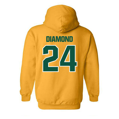 Northern Michigan - NCAA Men's Ice Hockey : Will Diamond - Classic Shersey Hooded Sweatshirt-1