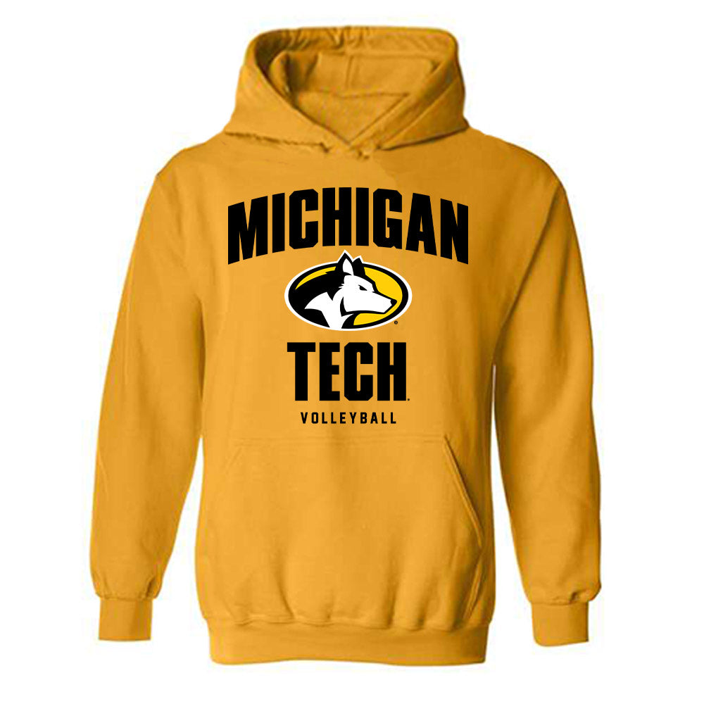 Michigan Tech - NCAA Women's Volleyball : Ashley L'Esperance - Classic Shersey Hooded Sweatshirt