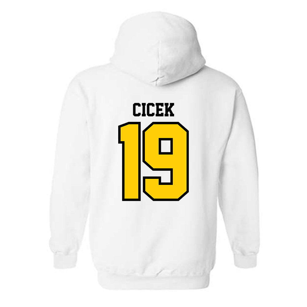 Michigan Tech - NCAA Men's Ice Hockey : Michael Cicek - Classic Shersey Hooded Sweatshirt-1
