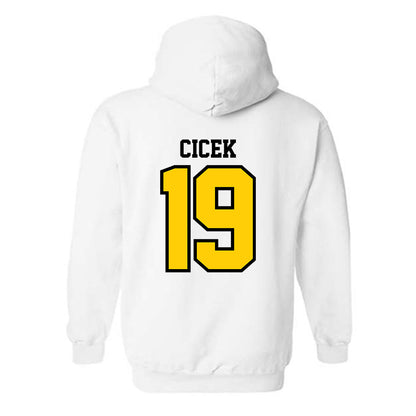 Michigan Tech - NCAA Men's Ice Hockey : Michael Cicek - Classic Shersey Hooded Sweatshirt-1