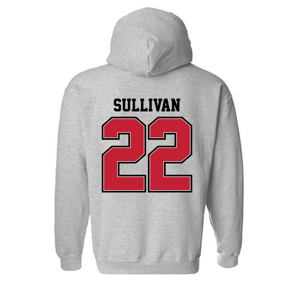 UW River Falls - NCAA Baseball : Brett Sullivan - Classic Shersey Hooded Sweatshirt-1