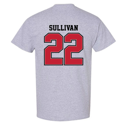 UW River Falls - NCAA Baseball : Brett Sullivan - Classic Shersey T-Shirt-1