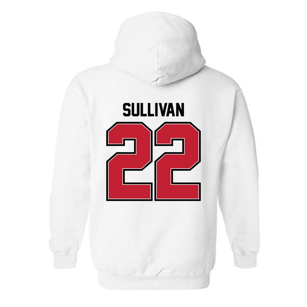 UW River Falls - NCAA Baseball : Brett Sullivan - Classic Shersey Hooded Sweatshirt-1