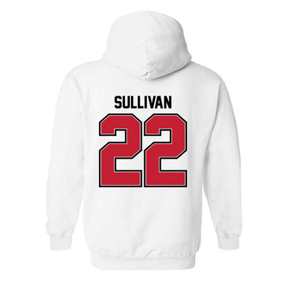 UW River Falls - NCAA Baseball : Brett Sullivan - Classic Shersey Hooded Sweatshirt-1