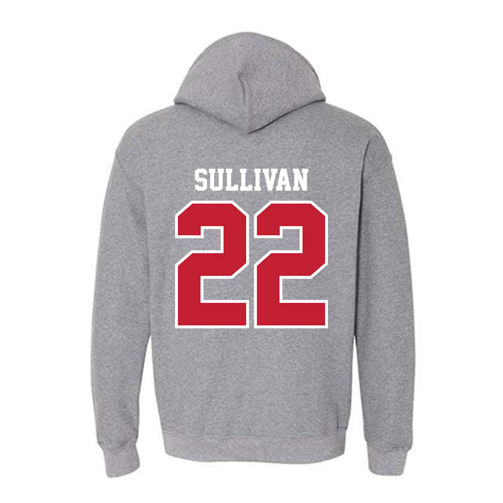 UW River Falls - NCAA Baseball : Brett Sullivan - Classic Shersey Hooded Sweatshirt-1