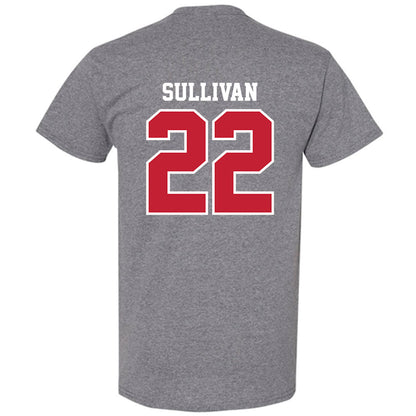UW River Falls - NCAA Baseball : Brett Sullivan - Classic Shersey T-Shirt-1