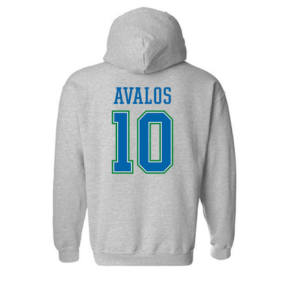 Texas A&M Corpus Christi - NCAA Softball : Rhea-Ann Avalos - Classic Shersey Hooded Sweatshirt-1