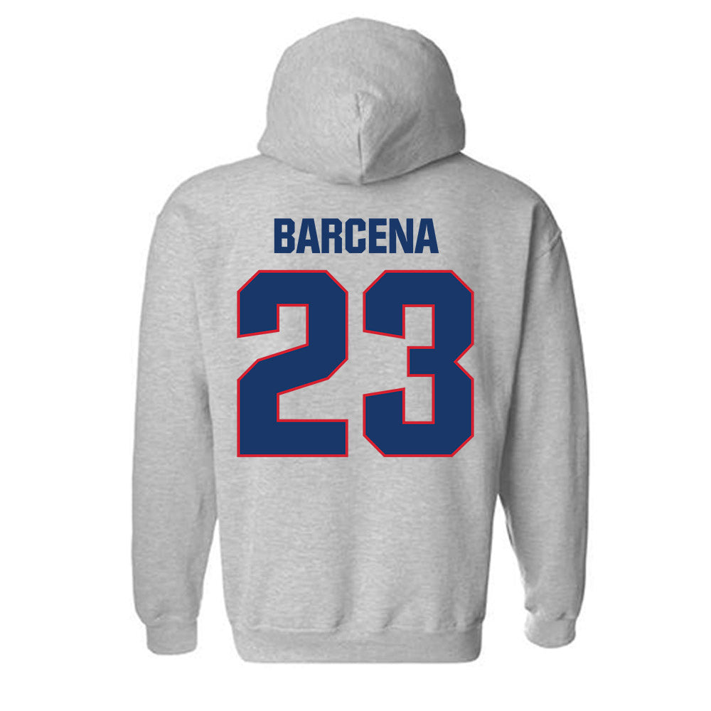 Francis Marion - NCAA Baseball : Daniel Barcena - Hooded Sweatshirt-1