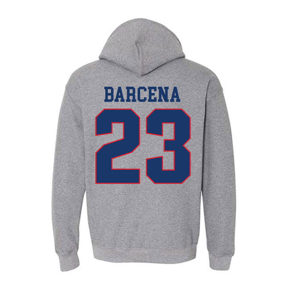 Francis Marion - NCAA Baseball : Daniel Barcena - Hooded Sweatshirt-1