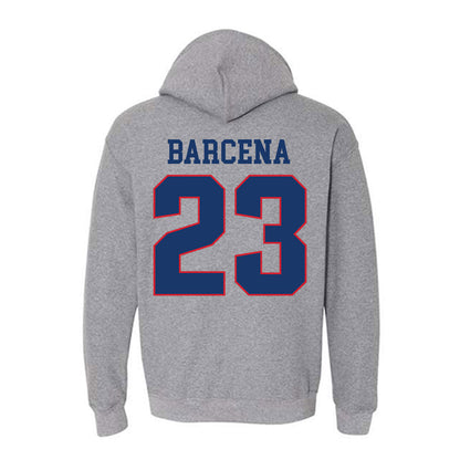 Francis Marion - NCAA Baseball : Daniel Barcena - Hooded Sweatshirt-1
