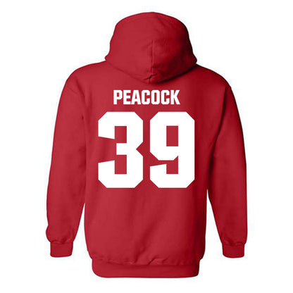 Francis Marion - NCAA Men's Soccer : Aedan Peacock - Hooded Sweatshirt-1